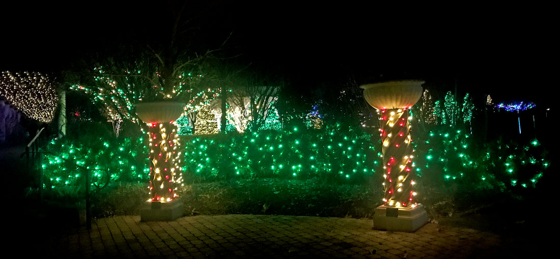 Christmas lights at Daniel Stowe Botanical Gardens